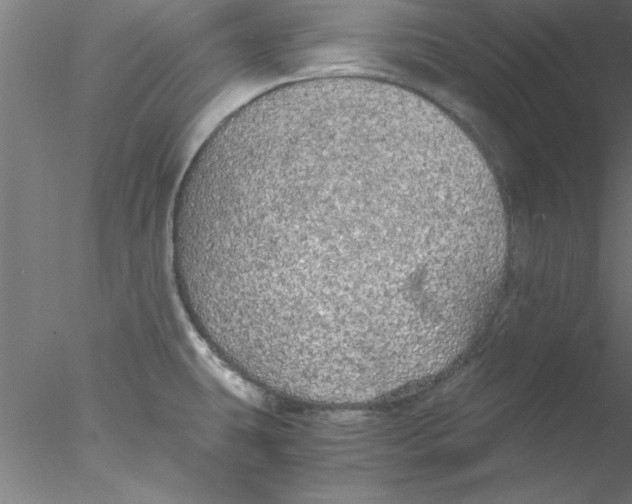 X0000076431431200611031828