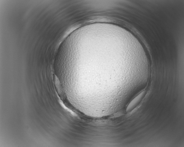 X0000076431433200611031828