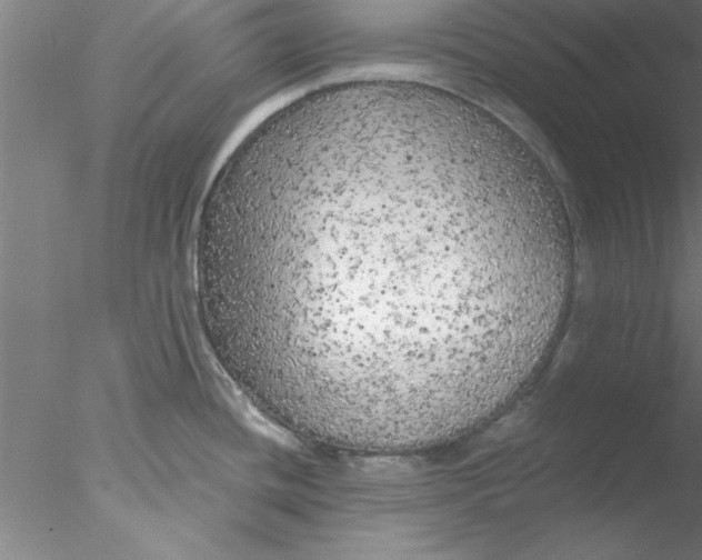 X0000076431436200611031828