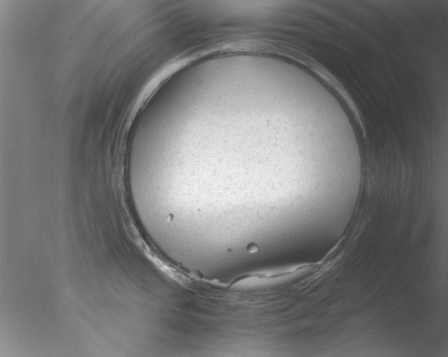 X0000076431437200611031828