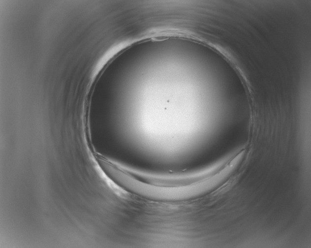 X0000076431438200611031828