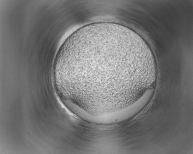 X0000076431440200611031828