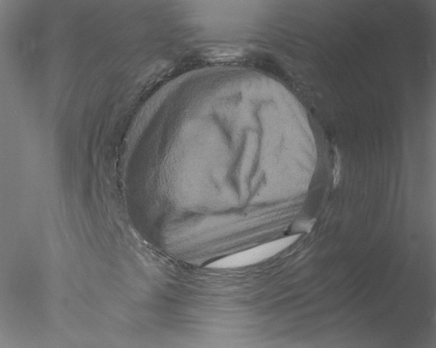 X0000076431441200611031827