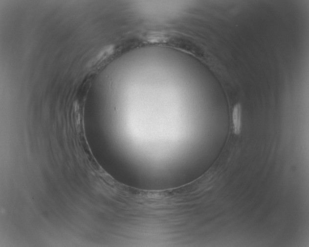 X0000076431443200611031827