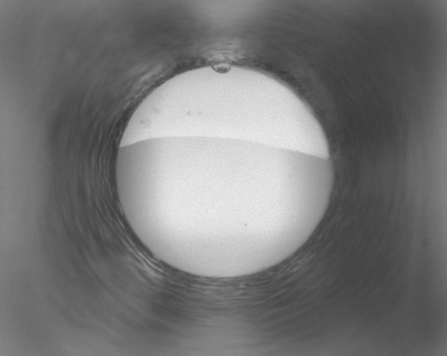 X0000076431444200611031827