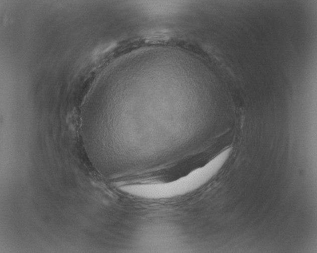 X0000076431445200611031827