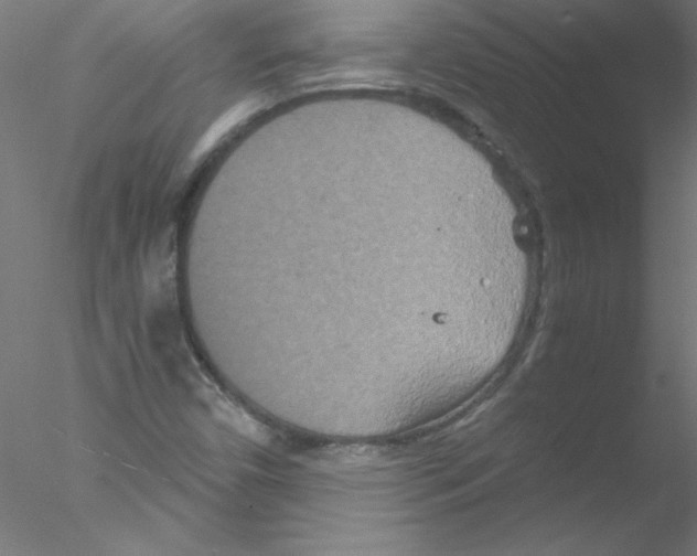 X0000076431450200611031827