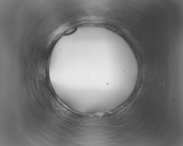 X0000076431451200611031827