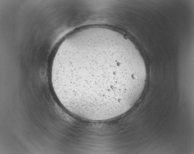 X0000076431452200611031827