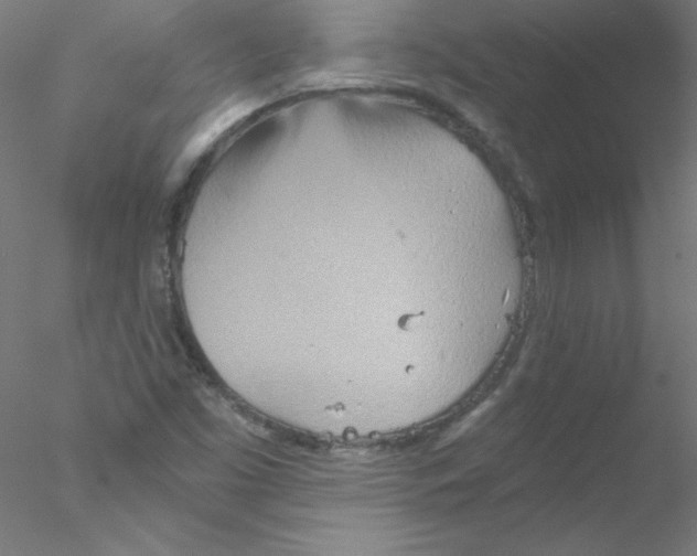 X0000076431453200611031827