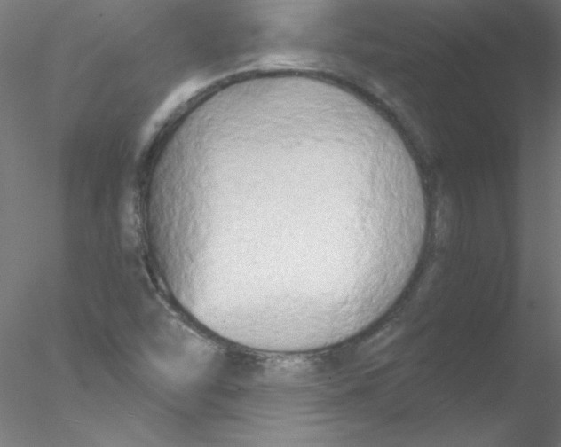 X0000076431454200611031827