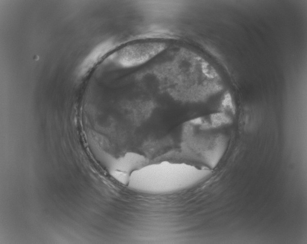 X0000076431455200611031827