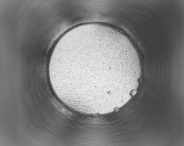 X0000076431460200611031827