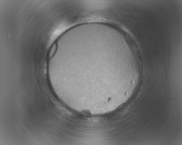 X0000076431461200611031827