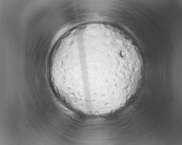 X0000076431467200611031827