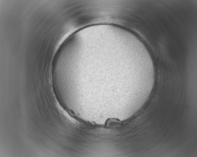 X0000076431468200611031827