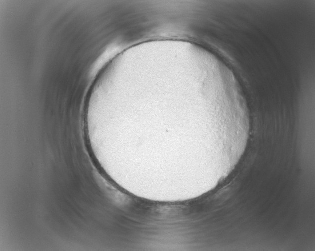 X0000076431471200611031827