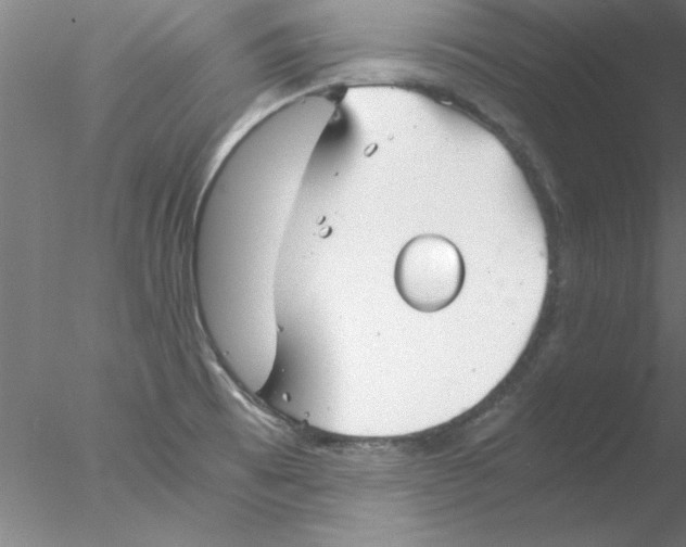 X0000076431473200611031827