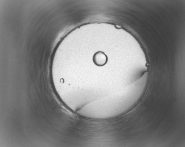 X0000076431477200611031827