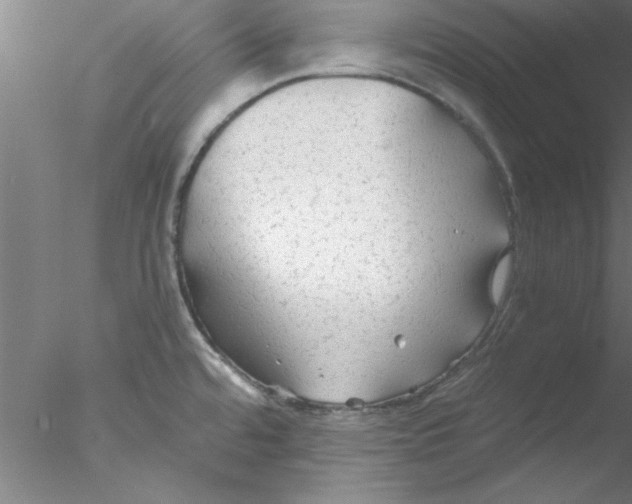 X0000076431480200611031826