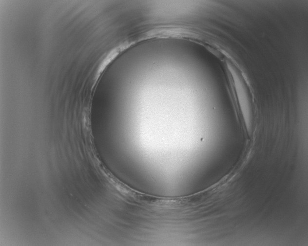 X0000076431481200611031826