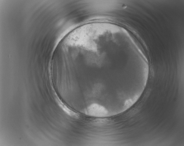 X0000076431482200611031826