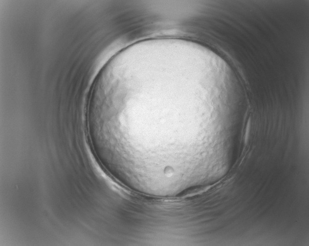 X0000076431483200611031826