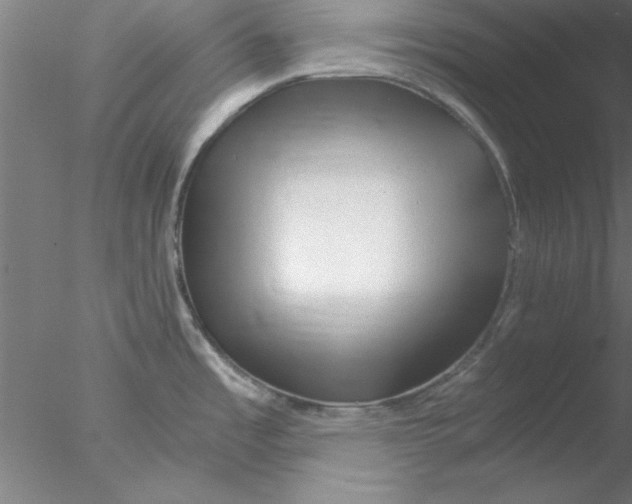 X0000076431485200611031826