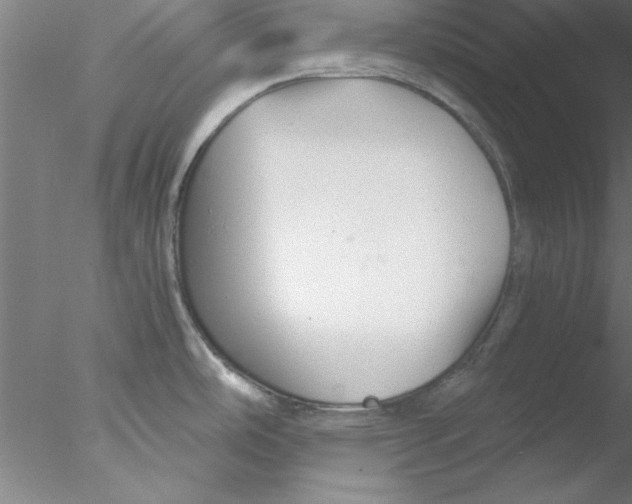 X0000076431486200611031826