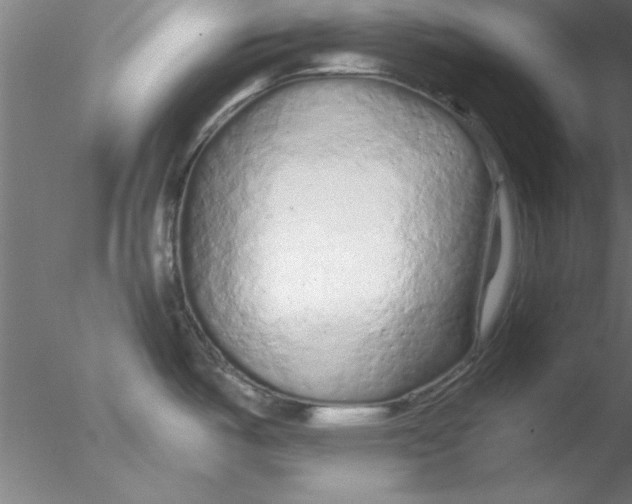 X0000076431487200611031826