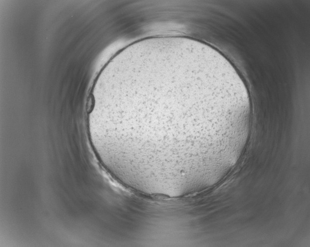 X0000076431488200611031826