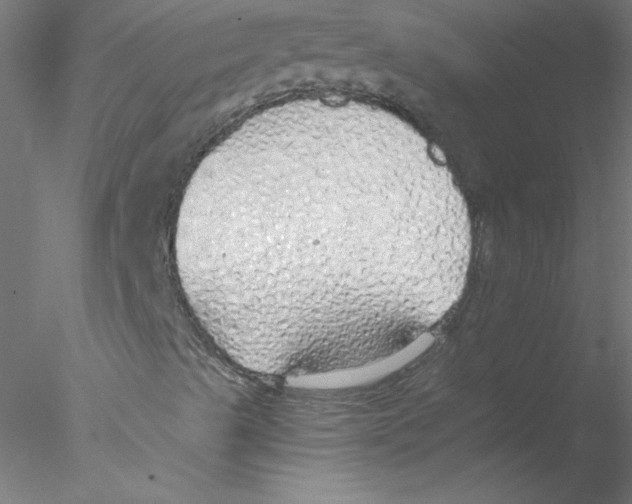 X0000076431489200611031826