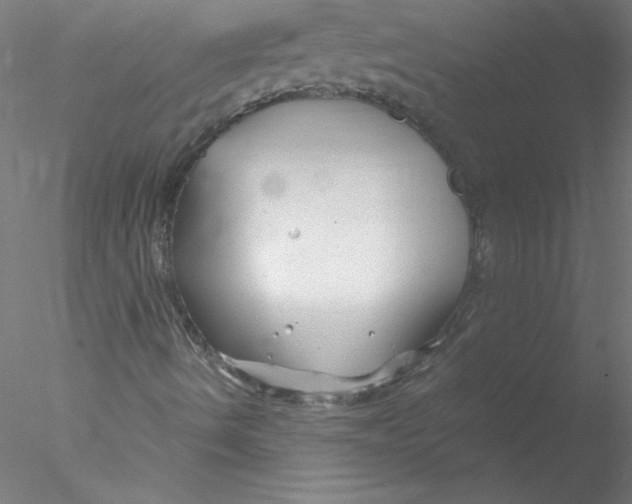 X0000076431490200611031826