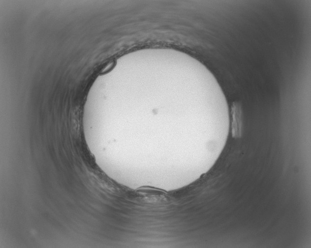 X0000076431491200611031826