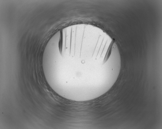 X0000076431492200611031826