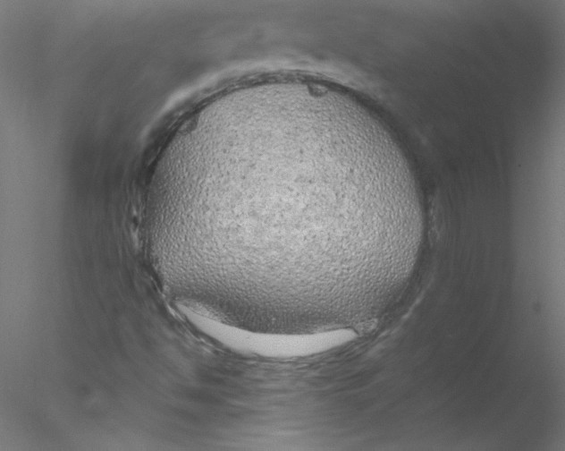 X0000076431494200611031826