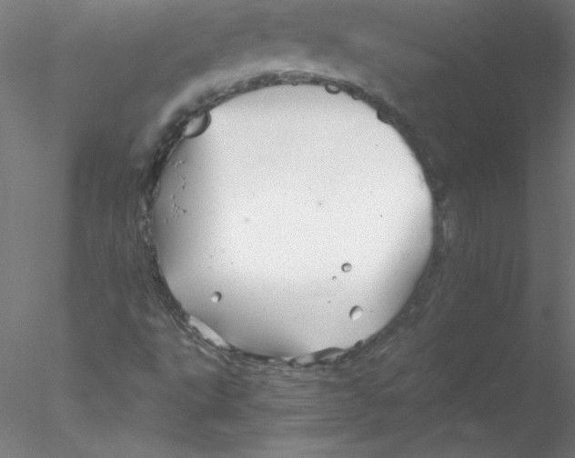 X0000076431495200611031826