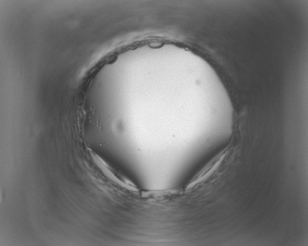 X0000076431496200611031826