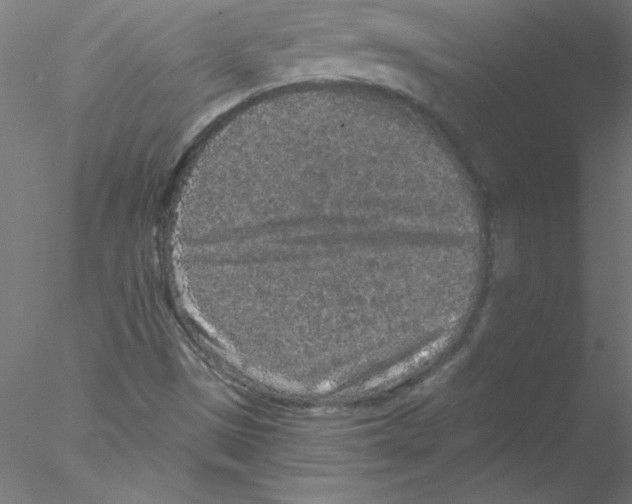 X0000076431497200611031826