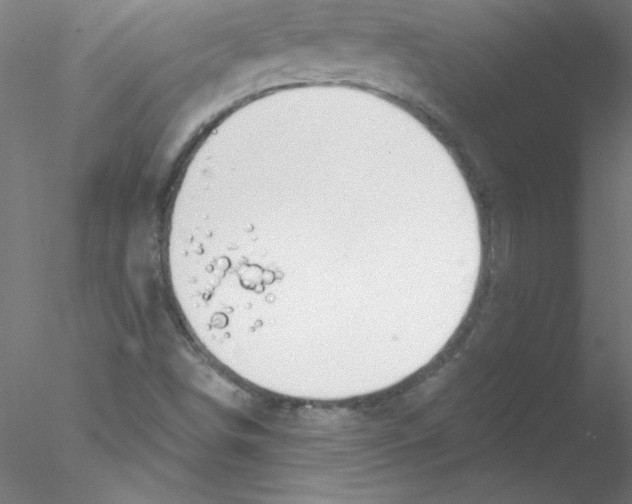 X0000076431498200611031826