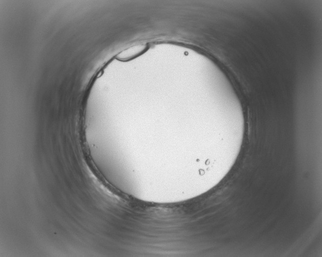 X0000076431500200611031826