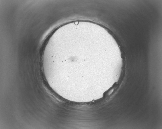 X0000076431502200611031826