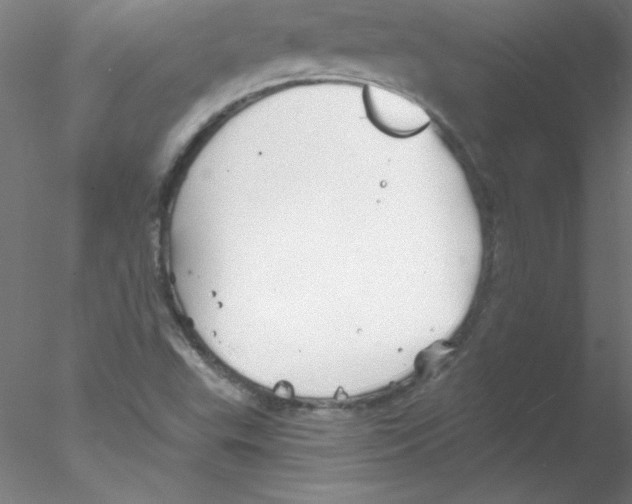 X0000076431503200611031826