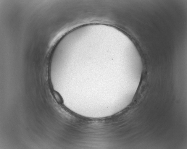 X0000076431504200611031826