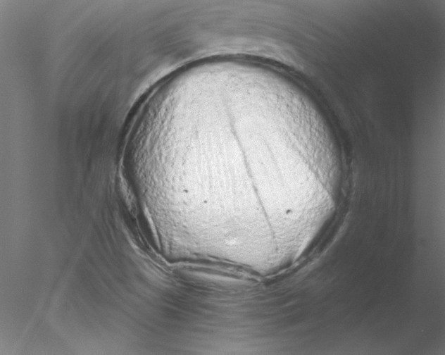 X0000076431505200611031826