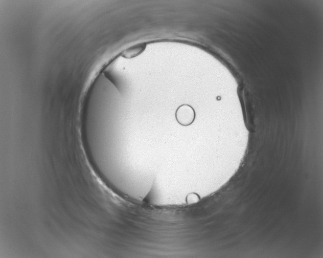 X0000076431508200611031826