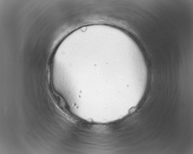 X0000076431509200611031826