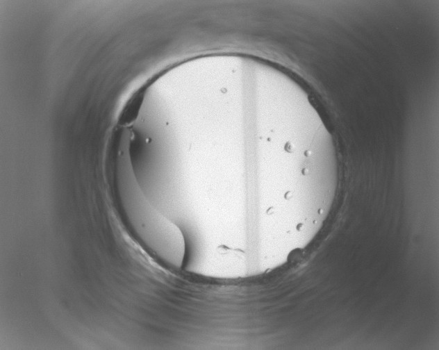 X0000076431510200611031826