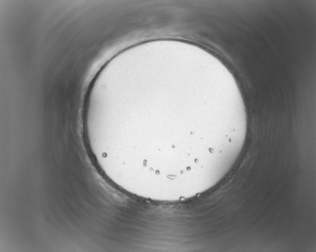 X0000076431512200611031826