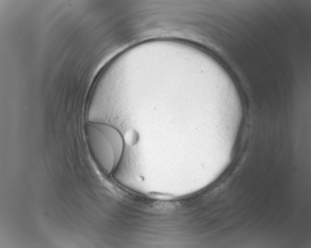 X0000076431513200611031826